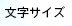 文字サイズ